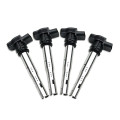 Original Equipment Manufacturer Ignition Coil Parts OE 07K905715D For Audi Auto Ignition Coil Oem Quality